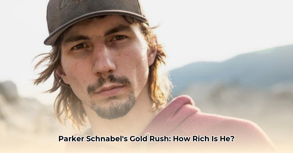 parker-schnabel-gold-mining-profits